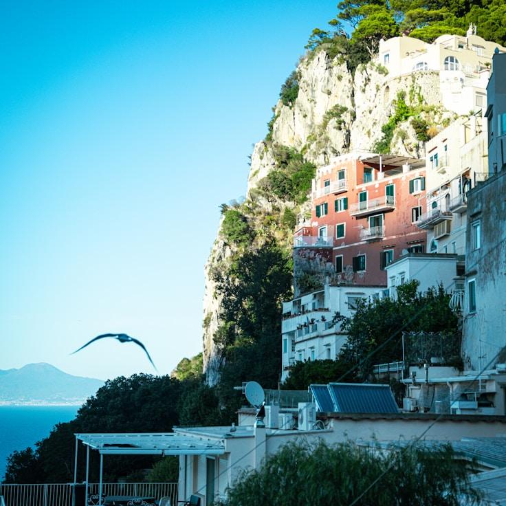 Entertainment zone at night in France